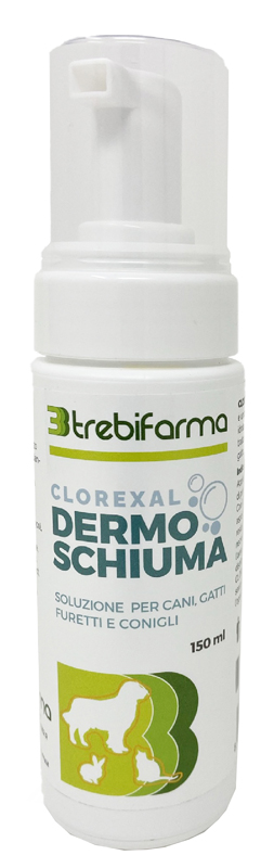 CLOREXAL DERMOSCHIUMA 150 ML - Farmacia-flash.it