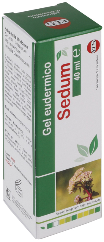 SEDUM GEL EUDERMICO 40 ML - Farmacia-flash.it