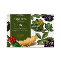 FORTE 24 CAPSULE - Farmacia-flash.it