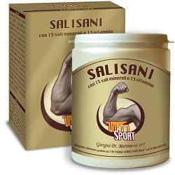 SALISANI VITAMINSPORT 360 G POLVERE - Farmacia-flash.it