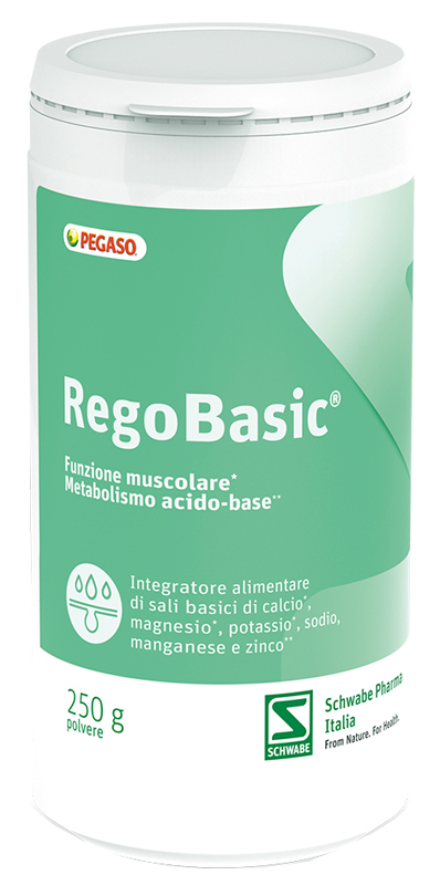 REGOBASIC POLVERE 250 G - Farmacia-flash.it