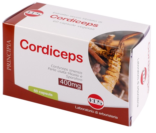 CORDICEPS ESTRATTO SECCO 60 CAPSULE - Farmacia-flash.it
