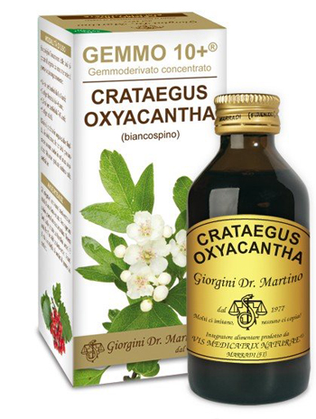 GEMMO 10+ BIANCOSPINO LIQUIDO ANALCOLICO 100 ML - Farmacia-flash.it