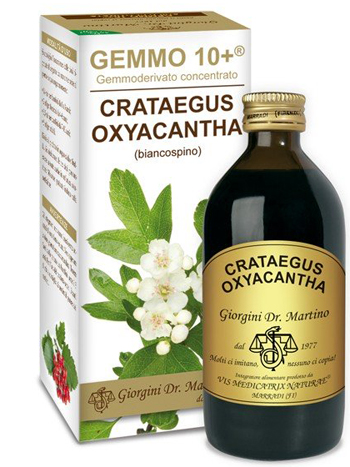 GEMMO 10+ BIANCOSPINO LIQUIDO ANALCOLICO 200 ML - Farmacia-flash.it