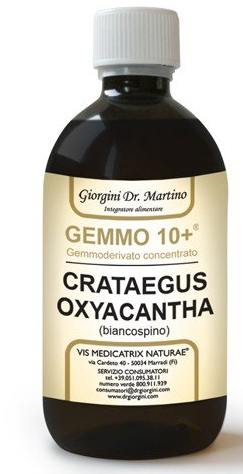GEMMO 10+ BIANCOSPINO LIQUIDO ANALCOLICO 500 ML - Farmacia-flash.it