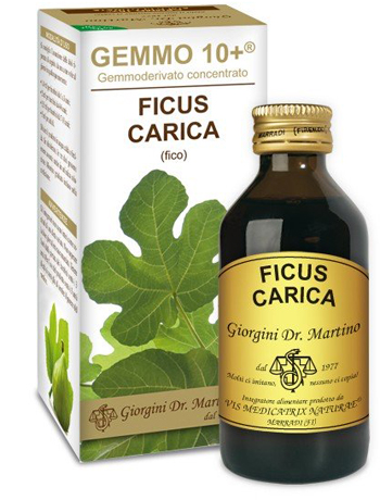 GEMMO 10+ FICO LIQUIDO ANALCOLICO 100 ML - Farmacia-flash.it