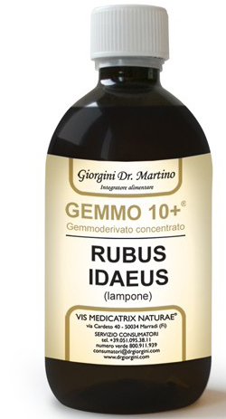 GEMMO 10+ GEMMODERIVATO CONCENTRATO LIQUIDO ANALCOLICO RUBUS IDEAUS LAMPONE 500 ML - Farmacia-flash.it