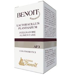 BENOIT LACTOBACILLUS PLANTHARUM 30 CAPSULE - Farmacia-flash.it