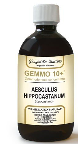 GEMOO 10+ GEMMODERIVATO CONCENTRATO IPPOCASTANO LIQUIDO ANALCOLICO AESCULUS HIPPOCASTANUM IPPOCASTANO 500 ML - Farmacia-flash.it
