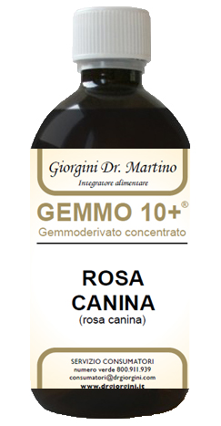 GEMMO 10+ ROSA CANINA LIQUIDO ANALCOLICO 500 ML - Farmacia-flash.it