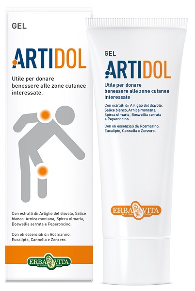 ARTIDOL GEL 100 ML - Farmacia-flash.it
