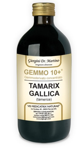 GEMMO 10+ GEMMODERIVATO CONCENTRATO LIQUIDO ANALCOLICO TAMARIX GALLICA TAMERICE 500 ML - Farmacia-flash.it