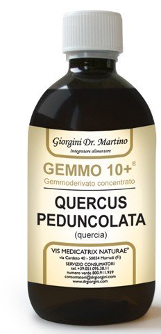 GEMMO 10+ QUERCIA 500 ML LIQUIDO ANALCOLICO - Farmacia-flash.it