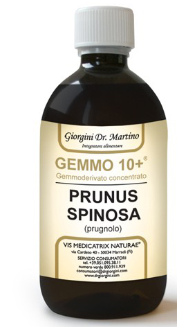 GEMMO 10+ PRUGNOLO 500 ML LIQUIDO ANALCOLICO - Farmacia-flash.it