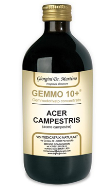 GEMMO 10+ ACERO CAMPESTRE 500 ML LIQUIDO ANALCOLICO - Farmacia-flash.it