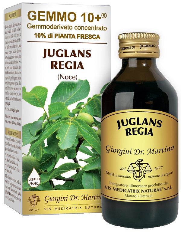 GEMMO 10+ NOCE 100 ML LIQUIDO ANALCOLICO - Farmacia-flash.it