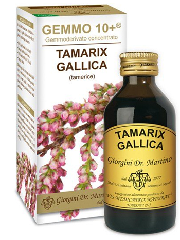 GEMMO 10+ TAMERICE 100 ML LIQUIDO ANALCOLICO - Farmacia-flash.it