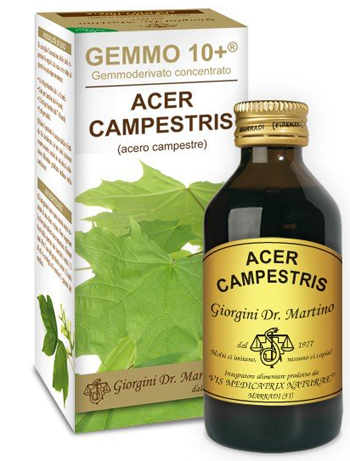 GEMMO 10+ ACERO CAMPESTRE 100 ML LIQUIDO ANALCOLICO - Farmacia-flash.it