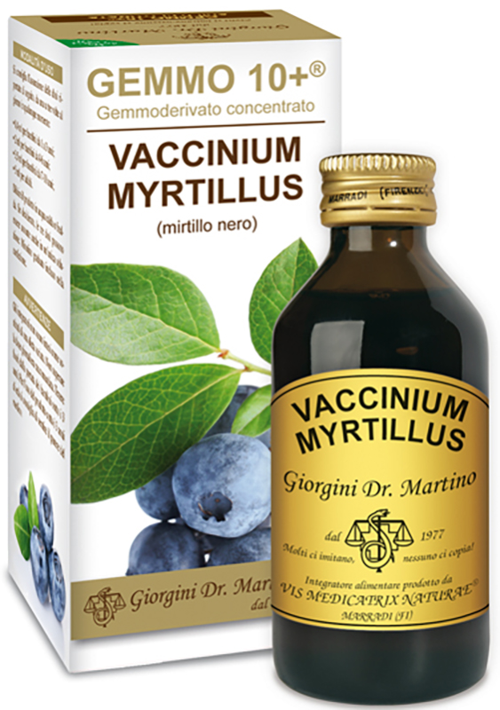 GEMMO 10+ MIRTILLO NERO LIQUIDO AN 100 ML - Farmacia-flash.it