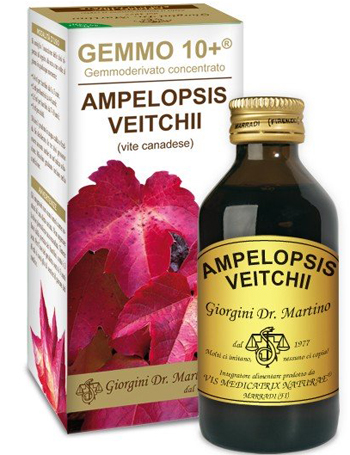 VITE CANADESE 100 ML LIQUIDO ANALCOLICO GEMMO +10 - Farmacia-flash.it