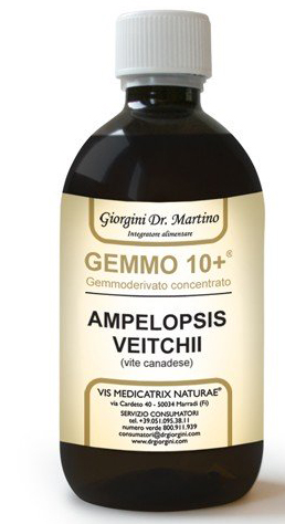GEMMO 10+ GEMMODERIVATO CONCENTRATO LIQUIDO ANALCOLICO AMPELOPSIS VEITCHI VITE CANADESE 500 ML - Farmacia-flash.it