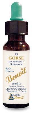 FIORI DI BACH BENOIT GORSE 10 ML - Farmacia-flash.it