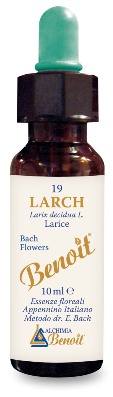 FIORI DI BACH BENOIT LARCH 10 ML - Farmacia-flash.it