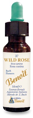 FIORI DI BACH BENOIT WILD ROSE 10 ML - Farmacia-flash.it