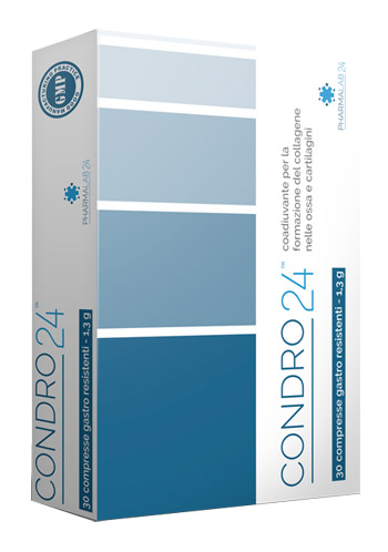 CONDRO24 30 COMPRESSE - Farmacia-flash.it