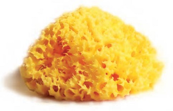 SPUGNA NATURALE MEDITERRANEA LABORATORI ATENEI 10 - Farmacia-flash.it