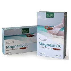 MAGNESIO B6 20 AMPOLLE BEVIBILI DA 15 ML - Farmacia-flash.it