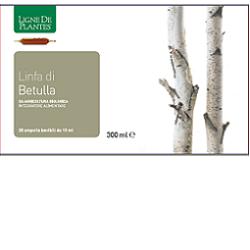 LINFA DI BETULLA BIOLOGICO 20 AMPOLLE BEVIBILI DA 15 ML - Farmacia-flash.it