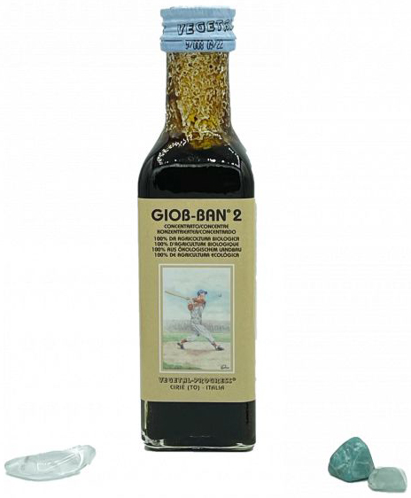 GIOB BAN 2 ART ESTRATTO CONCENTRATO BIOLOGICO 100 ML - Farmacia-flash.it