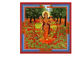 NEESHA-MA GOCCE 30 ML - Farmacia-flash.it