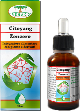 CITOYANG ZENZERO GOCCE FLACONCINO 50 ML - Farmacia-flash.it