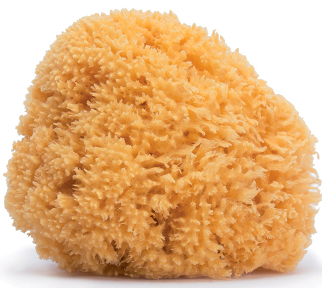 SUAVINEX HYGGE SPUGNA NATURALE MEDIA - Farmacia-flash.it