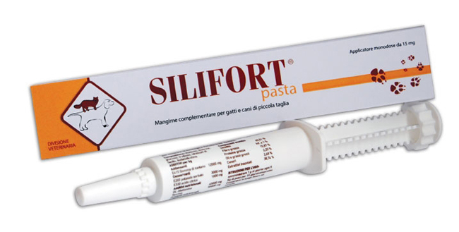 SILIFORT PASTA OS SIRINGA 30 G - Farmacia-flash.it
