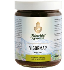 VIGORMAP PASTA 600 G - Farmacia-flash.it