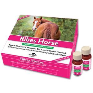 RIBES HORSE 30 FLACONI DA 25 ML - Farmacia-flash.it