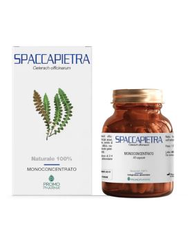 SPACCAPIETRA 50 CAPSULE - Farmacia-flash.it