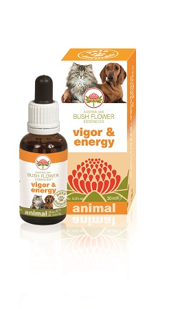 VIGOR & ENERGY 30 ML - Farmacia-flash.it