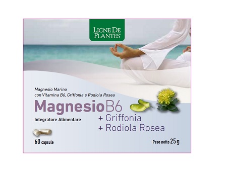 MAGNESIO B6 + GRIFFONIA + RODIOLA 60 CAPSULE - Farmacia-flash.it