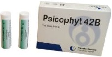 PSICOPHYT REMEDY 42B 4 TUBI 1,2G - Farmacia-flash.it
