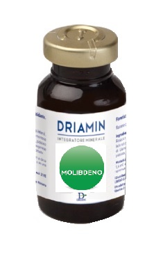DRIAMIN MOLIBDENO 15 ML - Farmacia-flash.it