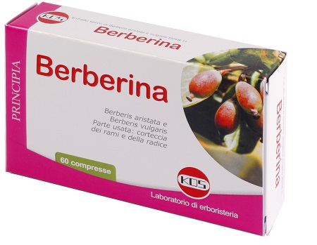 BERBERINA DA BERBERIS VULGARIS ESTRATTO SECCO 60 COMPRESSE - Farmacia-flash.it