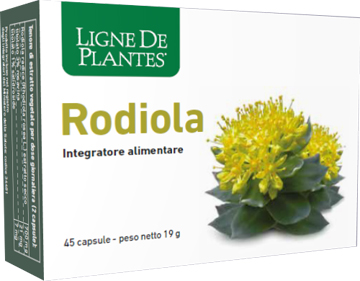 RODIOLA 45 CAPSULE - Farmacia-flash.it