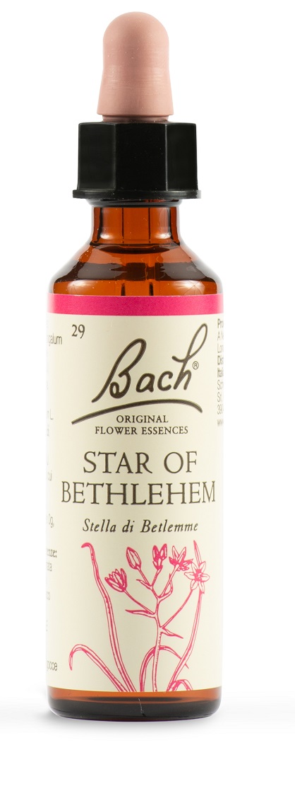 STAR OF BETHL ORIG 20 ML - Farmacia-flash.it