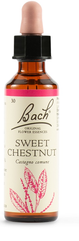 SWEET CHEST BACH ORIG 20 ML - Farmacia-flash.it