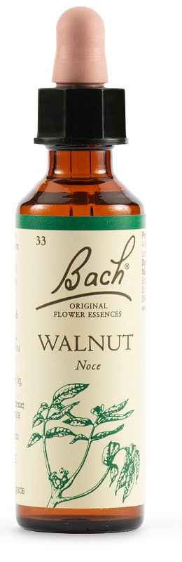 WALNUT BACH ORIG 20 ML - Farmacia-flash.it