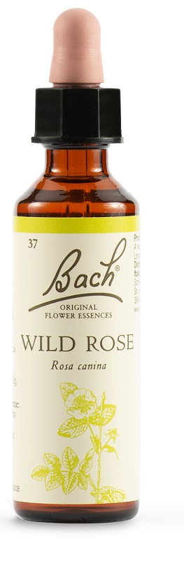 WILD ROSE BACH ORIG 20 ML - Farmacia-flash.it